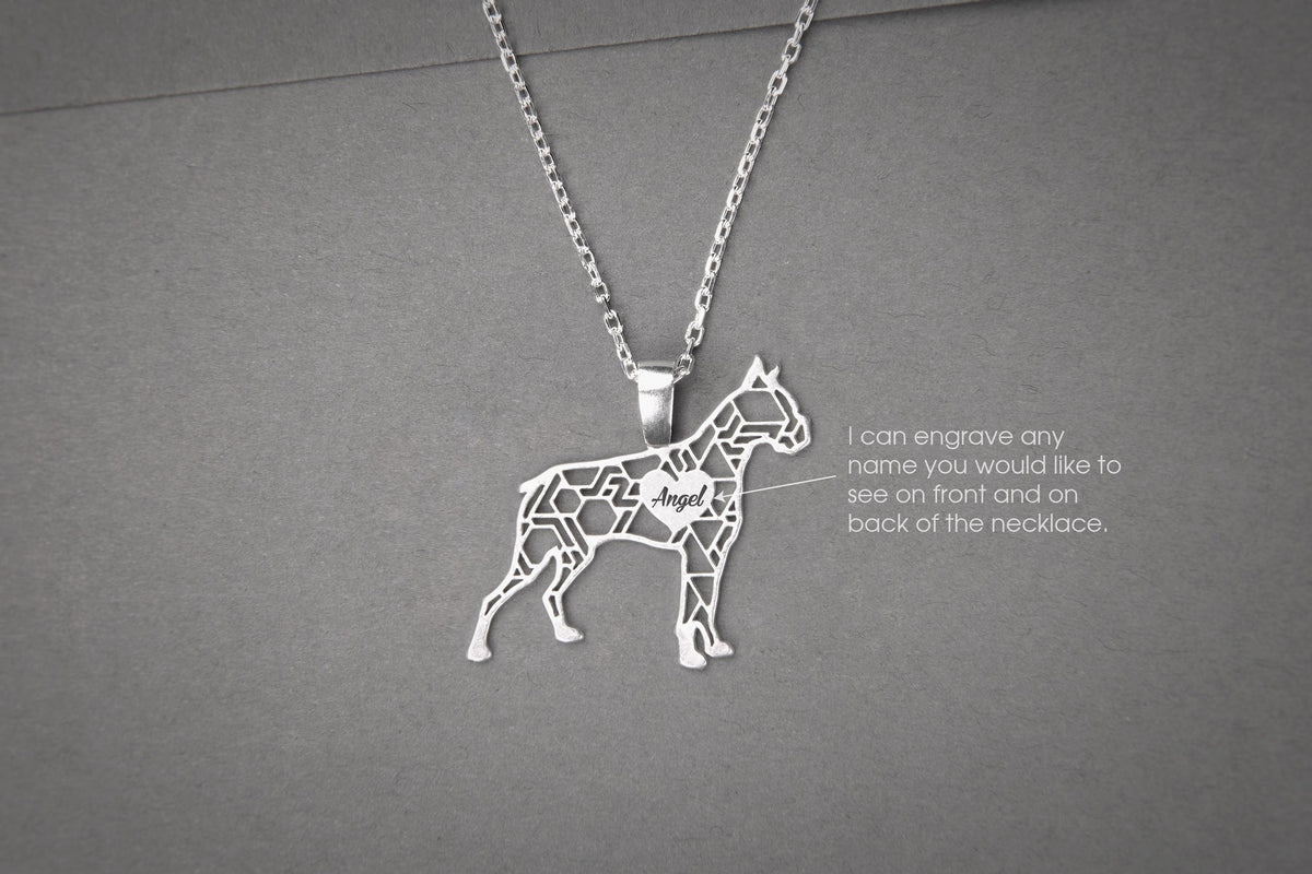 BOXER Modern Silver Necklace - 1 Main image