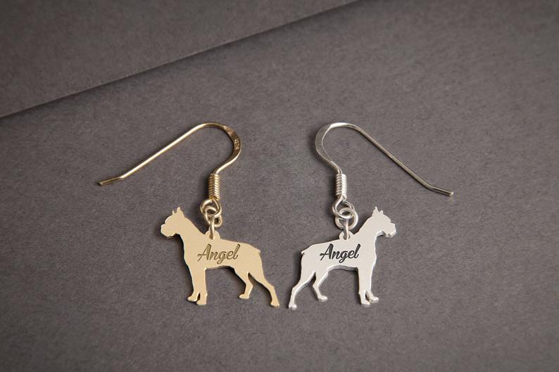 BOXER Dangle Silver Earring - 1 Main image