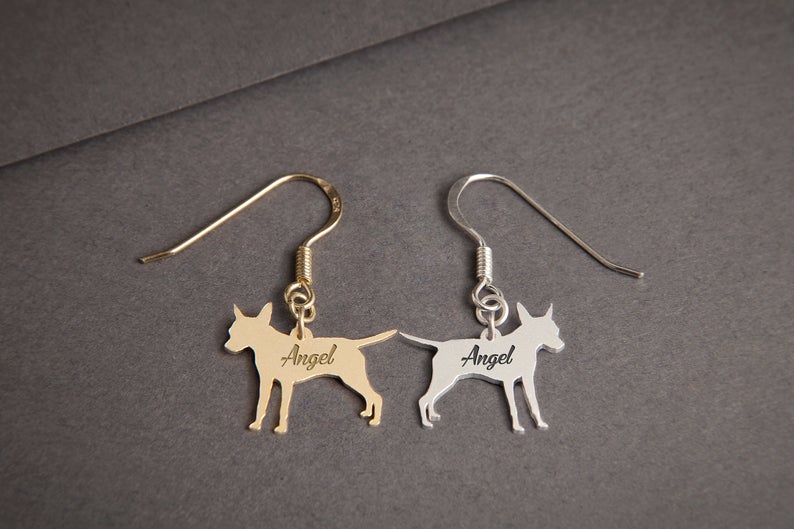 PINSCHER Dangle Silver Earring - 1 Main image