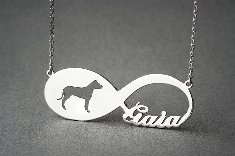 DOGO ARGENTINO Infinity Silver Necklace - 1