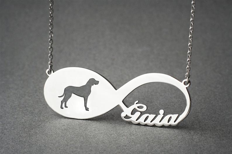 REDBONE COONHOUND Infinity Silver Necklace - 1 Main image