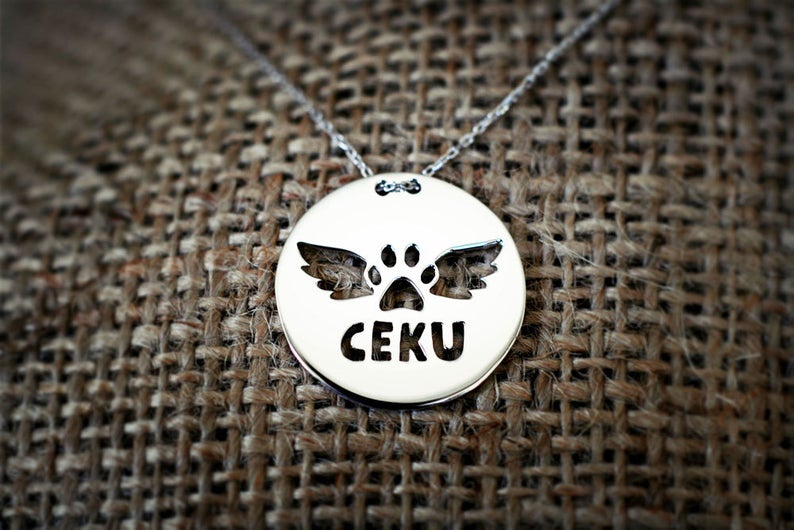 Disc PAW WITH WINGS Necklace - 1