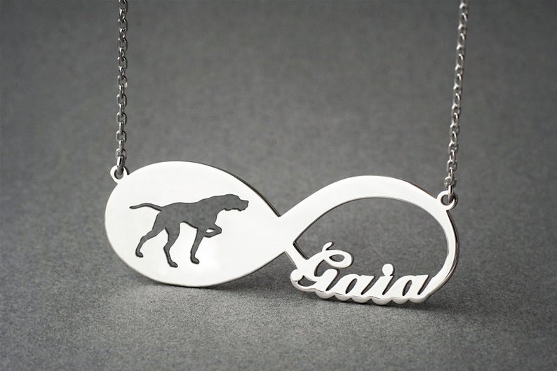 ENGLISH POINTER Infinity Silver Necklace - 1 Main image