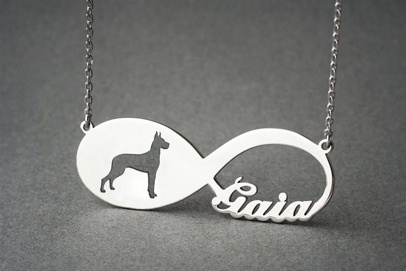 GREAT DANE Infinity Silver Necklace - 1 Main image