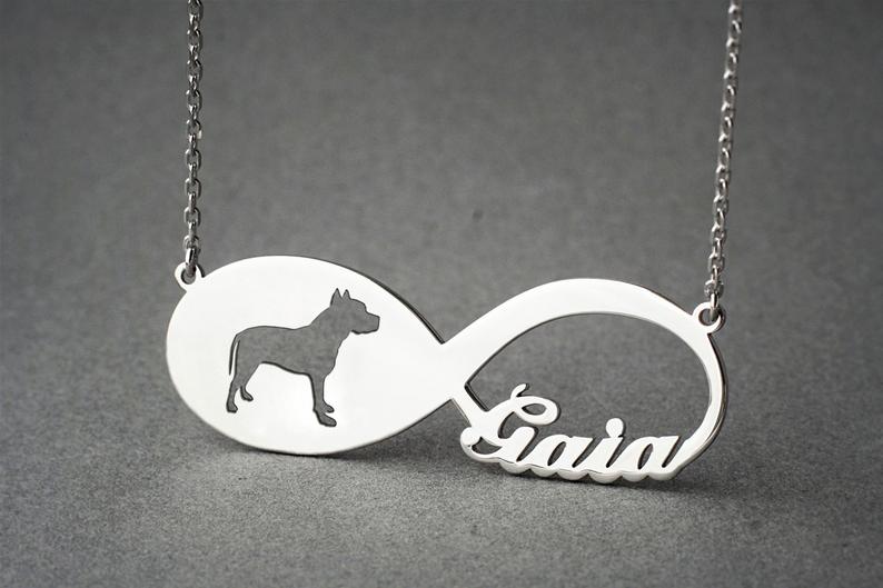 PITBULL TERRIER Infinity Silver Necklace - 1 Main image