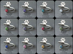 PINSCHER-Birthstone Silver Ring - 3