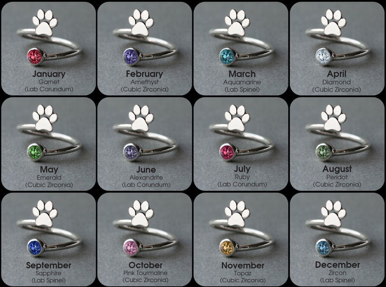 JACK RUSSELL TERRIER-Birthstone Silver Ring - 3